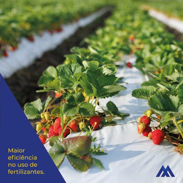Mulching Preto e Branco Cobertura de Solo 1,60x500m - Imagem 2