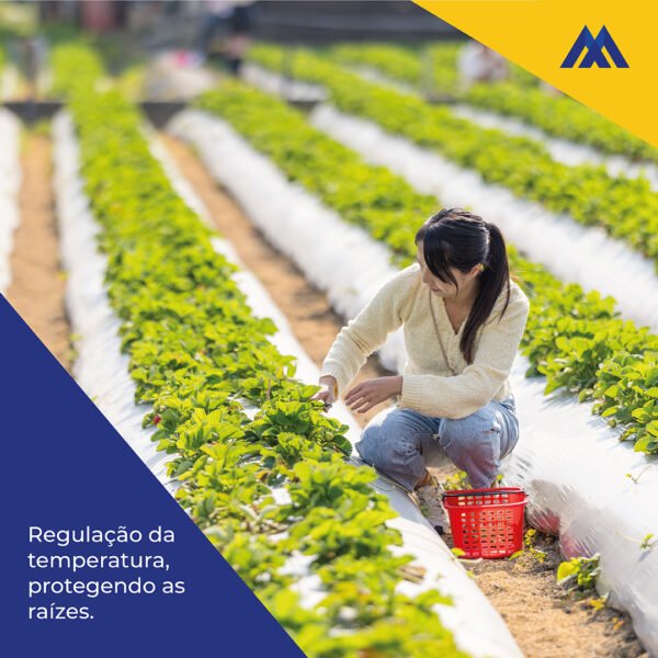 Mulching Preto e Branco Cobertura de Solo 1,60x500m - Imagem 5