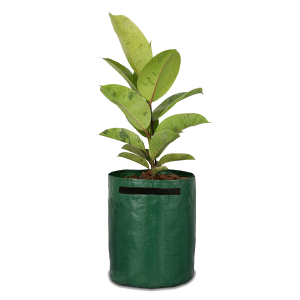 Vaso de Lona ML Verde 24L