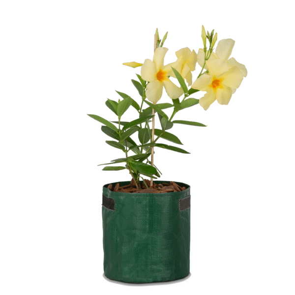Vaso de Lona ML Verde 6L